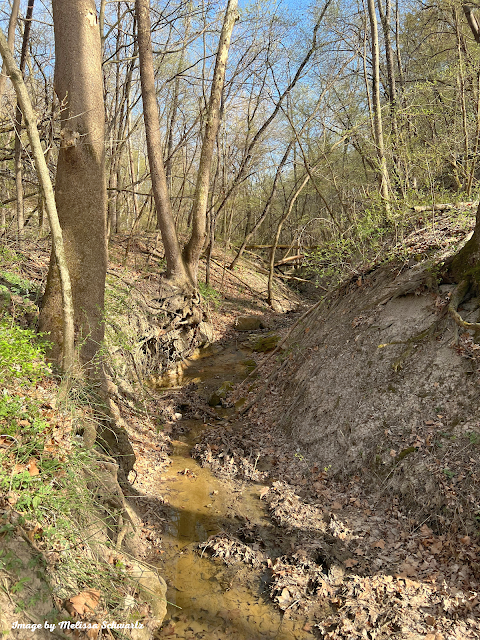 A creek meanders through a rolling landscape.
