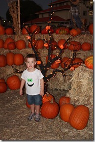pumpkin patch 034