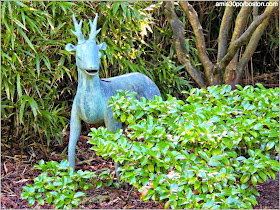 Japanese Tea Garden: San Francisco