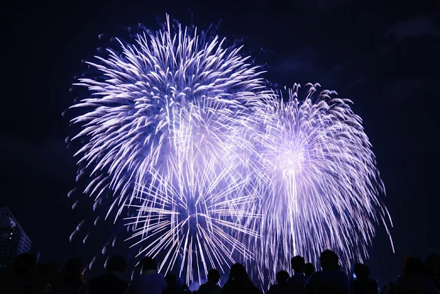 夜空を彩る花火～第27回東京湾大華火祭