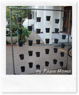 DIY สวนแนวตั้ง (ผูกกระถางกับราวแขวนผ้าตามต้องการ) (2)