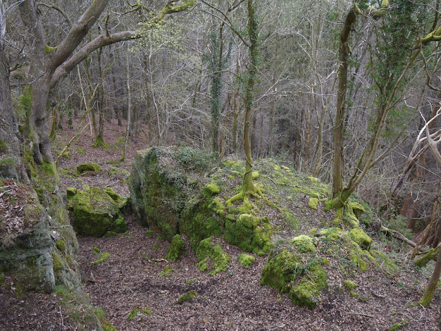 Fairy Table West view