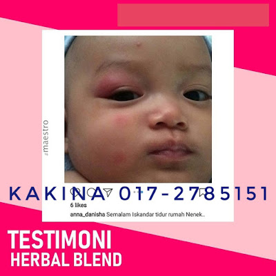 TESTIMONY HERBAL BLEND