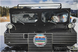 a dog in the drivers seat of the snowcat