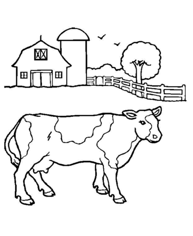 Cow Printable Coloring Pages 3
