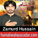 https://aliwalayazadar.blogspot.com/2020/08/zamurd-hussain-nohay-2021.html