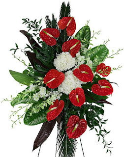 anturium kwiaty na pogrzeb do wiązanki pogrzebowej ostatnie pożegnanie
