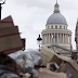 A párizsi lakosok panaszkodtak az utcákon lévő szeméthegyekre