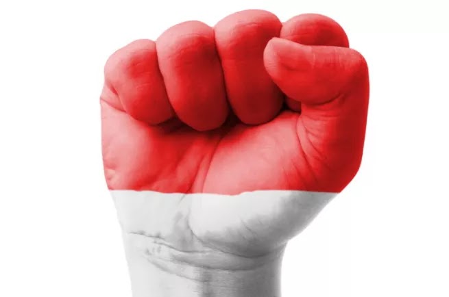 Strategi Indonesia Dalam Menghadapi Ancaman di Berbagai Bidang (Militer, Ideologi, Politik, Ekonomi, Sosial, Budaya) Strategi Indonesia Dalam Menghadapi Ancaman di Berbagai Bidang