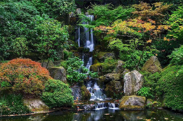 Scenes Of Japanese Park Tranquility  Amazing & Funny