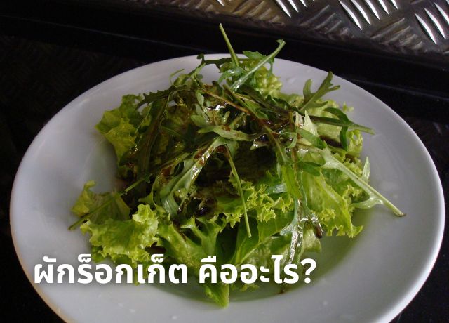 ผักร็อกเก็ตคืออะไร