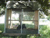 Left side of Coop With 1/2 inch wire mesh attached to PVC Hoops