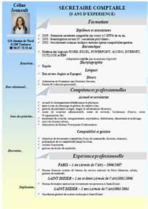 ... Curriculum Vitae ( CV) yang baik, rapi dan menarik dalam rangka