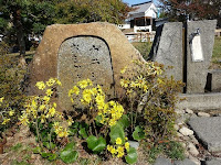 この水は、夫忠興と勝竜寺で過ごした日々、水面にその姿を映した歴史とロマンが感じられる