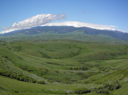 Sheridan, WY