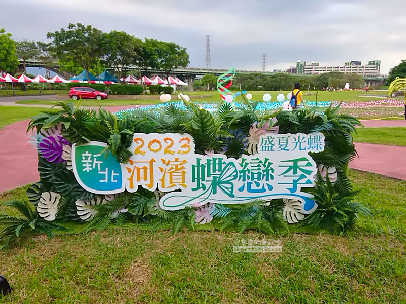 板橋蝴蝶公園,地景花海光雕,板橋景點,河濱蝶戀季