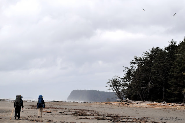 Olympic National Park