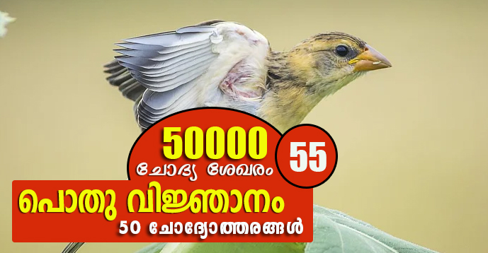 Kerala PSC | General Knowledge | 50000 Questions - 55