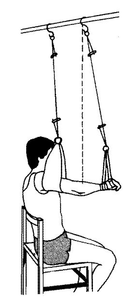 The Sciences Of Human Movements,Go Kinesiology!: SUSPENSION THERAPY