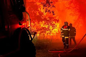 Kebakaran Hutan di Prancis Meluas, Ribuan Orang Diungsikan  