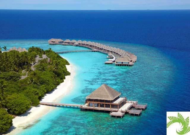 http://www.maldives.com.au/maldives