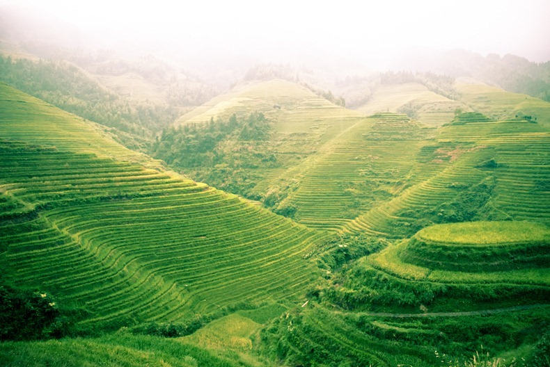 rice-terraces-14