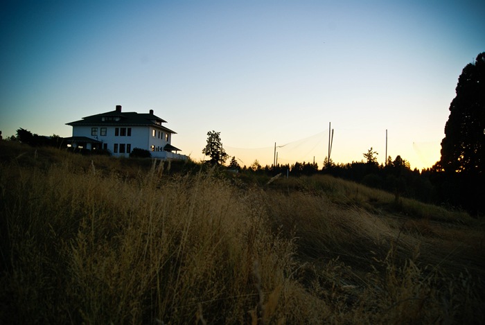 SONY DSC