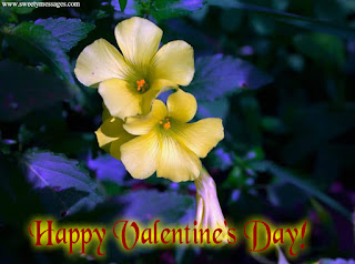 happy valentines day images for husband