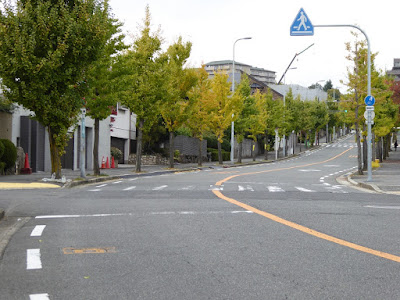 香里団地の並木（いちょう通りの紅葉）