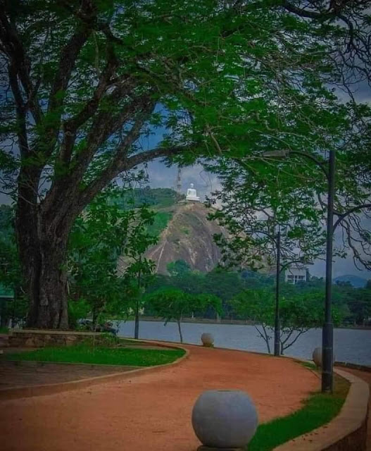 රන්තාලිය වැවේ සුන්දරත්වය විදිමූ 🌿🎋🌿 (Ranthaliya Wewa) - Your Choice Way