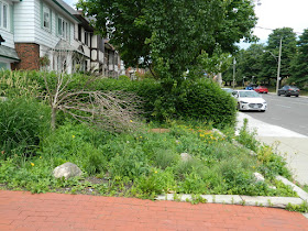 Toronto Midtown Summer Front Garden Cleanup Before by Paul Jung Gardening Services Inc.--a Toronto Gardening Company