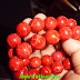 Gelang Batu Red Coral Grad A Super Ukuran 16 mm by MAKRIFAT BUSINESS