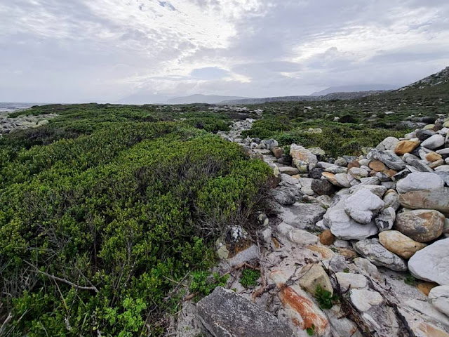 The SS Thomas T. Tucker shipwreck trail