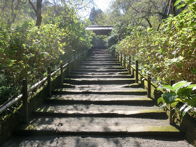  北鎌倉：明月院