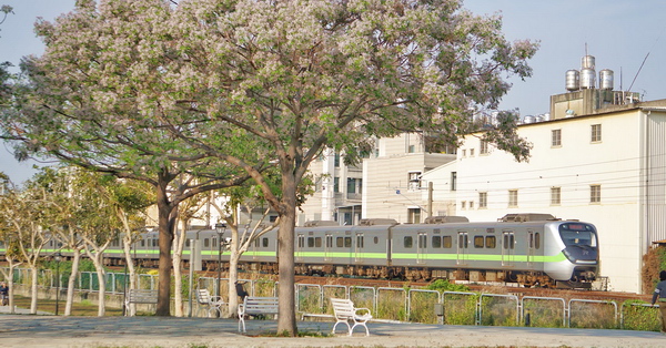 彰化崙平公園火車鐵道就在旁邊，還可拍苦楝花火車呼嘯而過