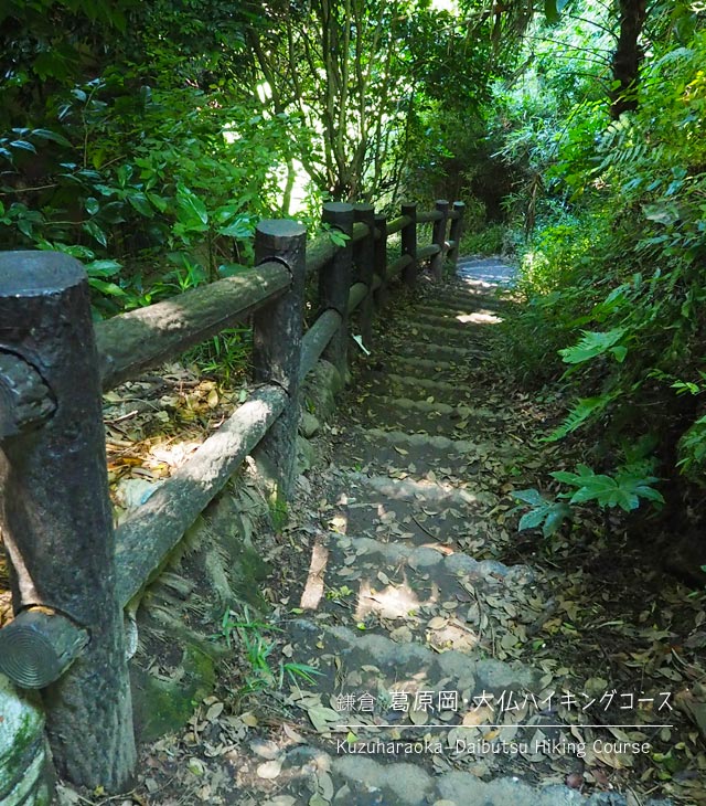 [鎌倉] 葛原岡･大仏ハイキングコースの丸太階段