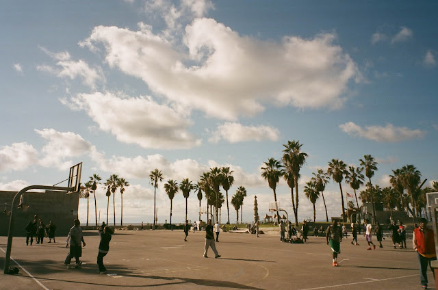 Venice Beach beach palm basketball