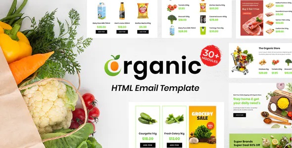 Best Multipurpose Responsive Email Template