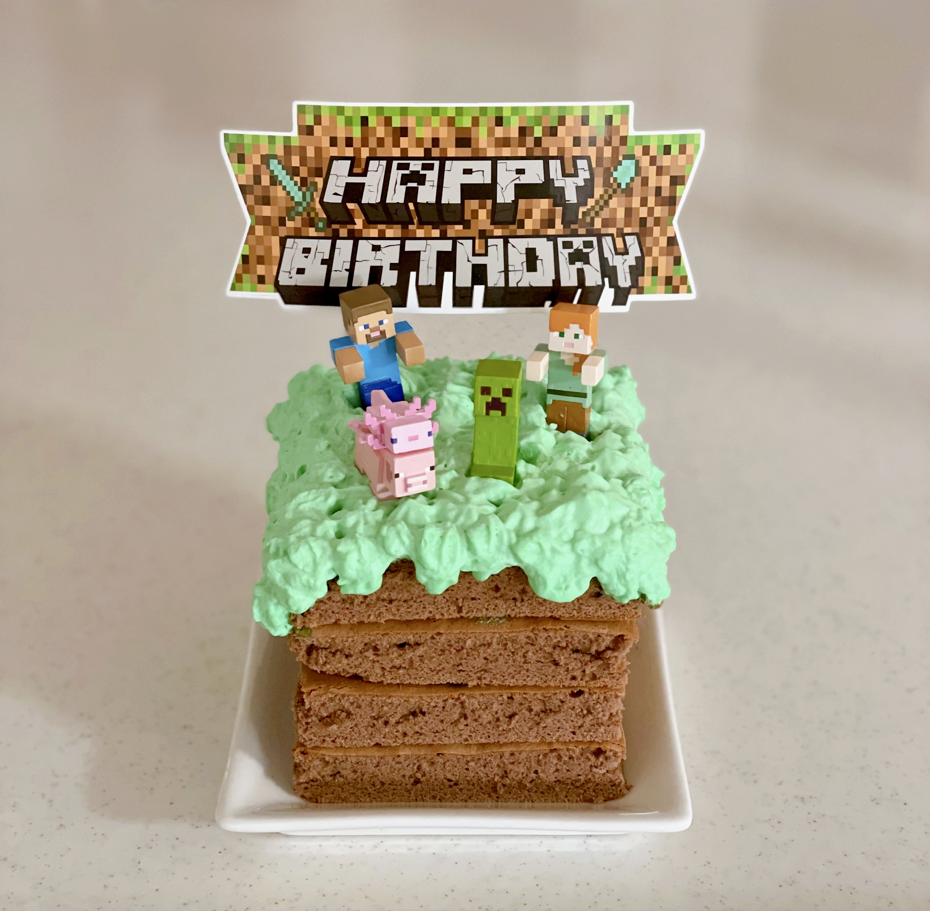Minecraft cake  Minecraft birthday cake, Minecraft cake