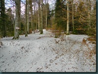 Ramificatia catre Valea Alba