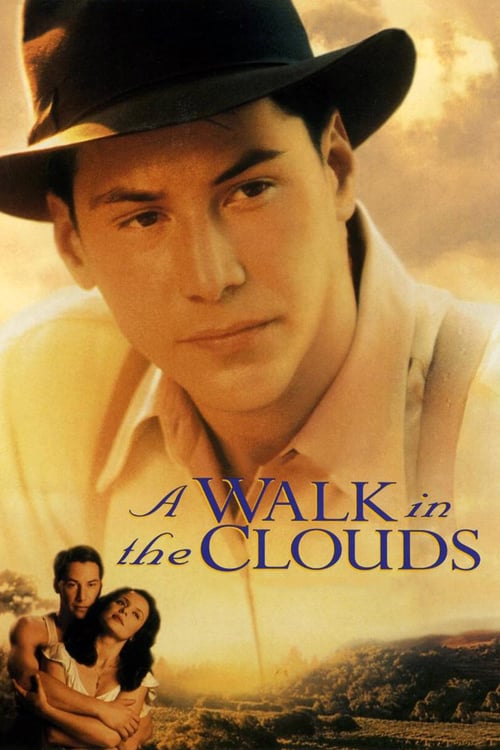 [HD] Un paseo por las nubes 1995 Ver Online Castellano