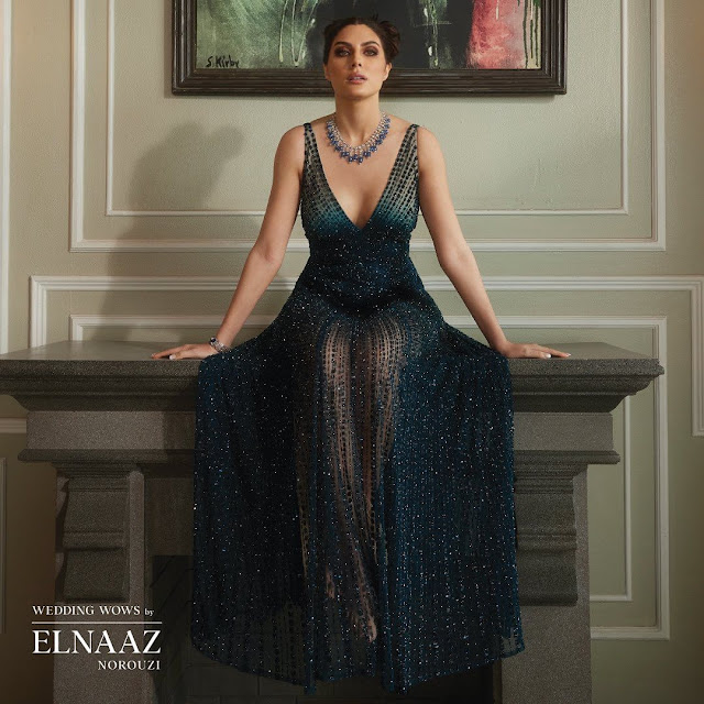 Actress Elnaaz Norouzi,Elnaaz Norouzi,