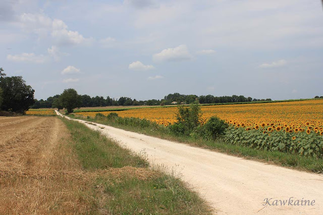 petit Rouillac CFD Charente