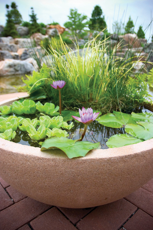 Fantastic Backyard Water Features For Birds