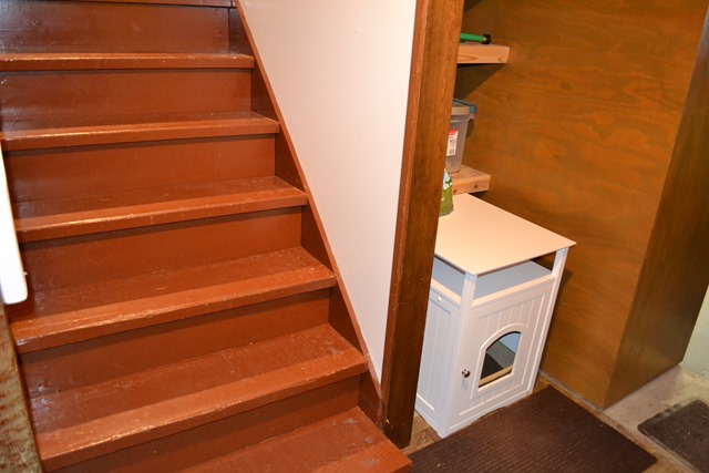 Basement Stairs and Litter Box