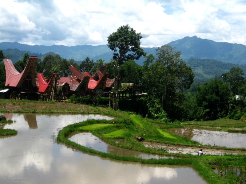 Tempat Wisata Di Tanah Toraja BERITA TRAVELLING