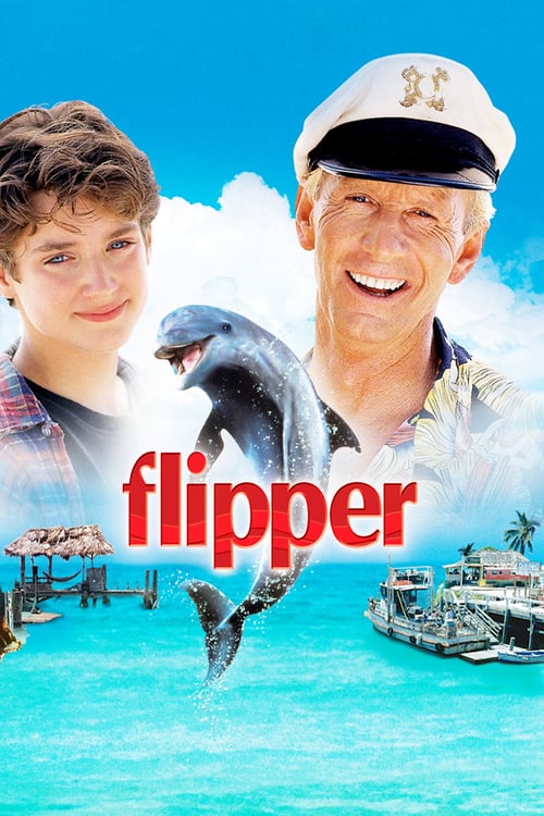 Ver Flipper 1996 Pelicula Completa En Español Latino