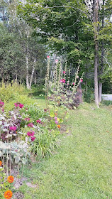 Summer flowers in Vermont. Share Now. #flowerbeds #eclecticredbarn