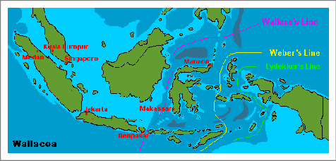 flora fauna indonesia