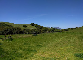 View to the north of a rocky peak and green hills, Morgan Territory Regional Preserve, Livermore, California